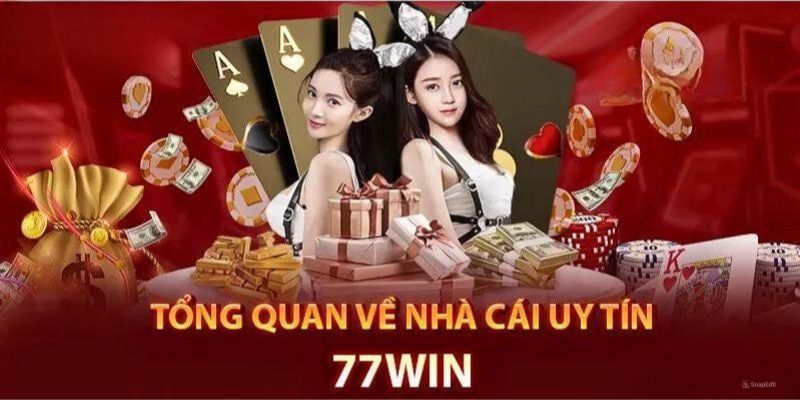 Đôi nét về nhà cái cá cược 77WIN